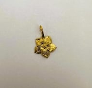 1601652200 - PINGENTE FLOR PONTUDA<br>QTDE PCT: 5 PC - VAL PCT: R$ 13,00 - PESO UNIT: 1,210g